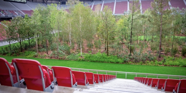 В Австрии на футбольном стадионе высадили 300 деревьев