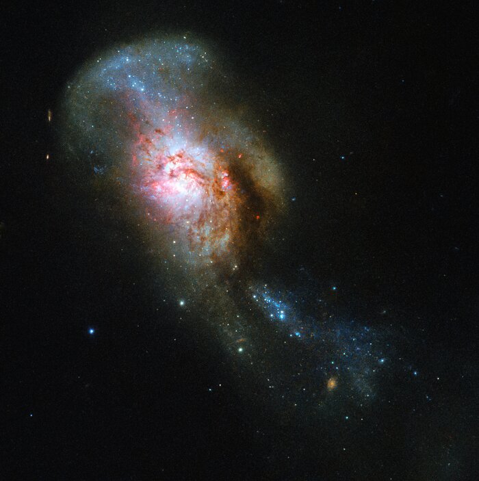 Телескоп Hubble сделал снимок "космической Медузы" (ФОТО) 1