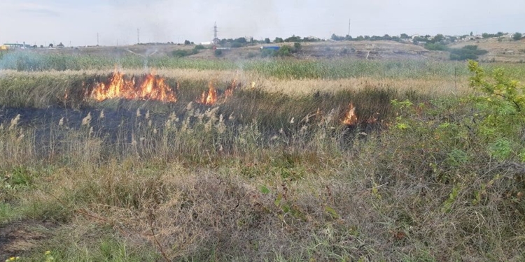 На Николаевщине выгорело более 30 га открытых территорий (ФОТО)
