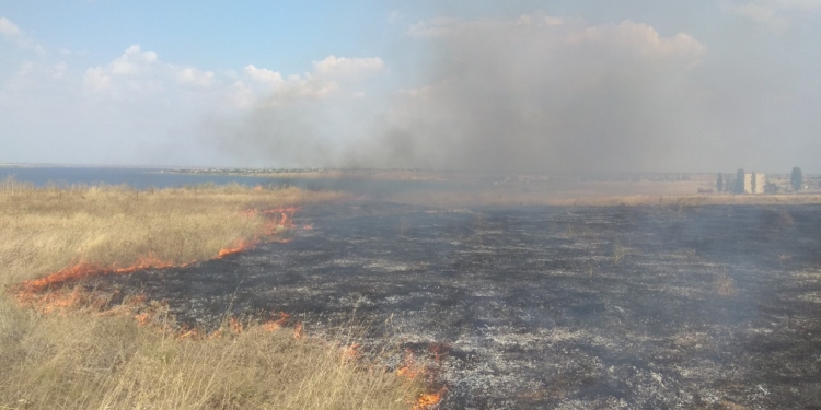 На Николаевщине выгорело 23 га открытой территории (ФОТО)