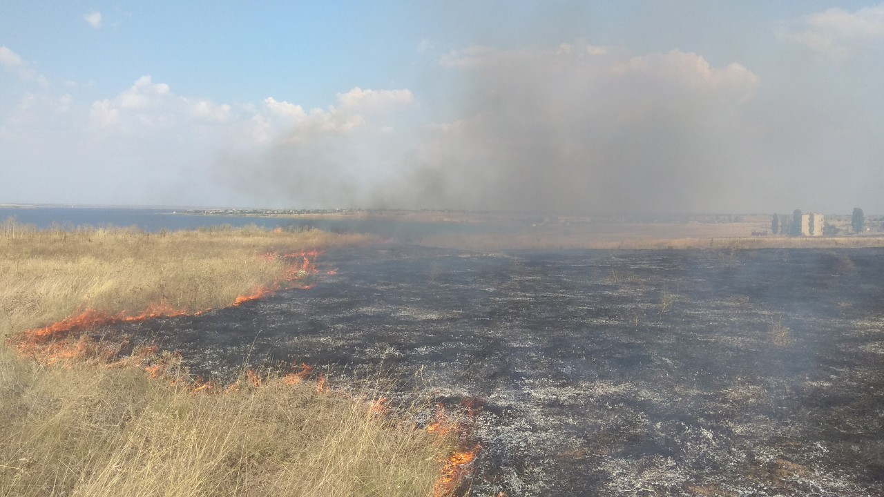 На Николаевщине выгорело 23 га открытой территории (ФОТО)