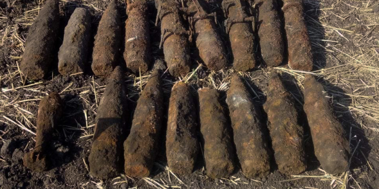 В Баштанском районе откопали 17 взрывоопасных предметов (ФОТО)