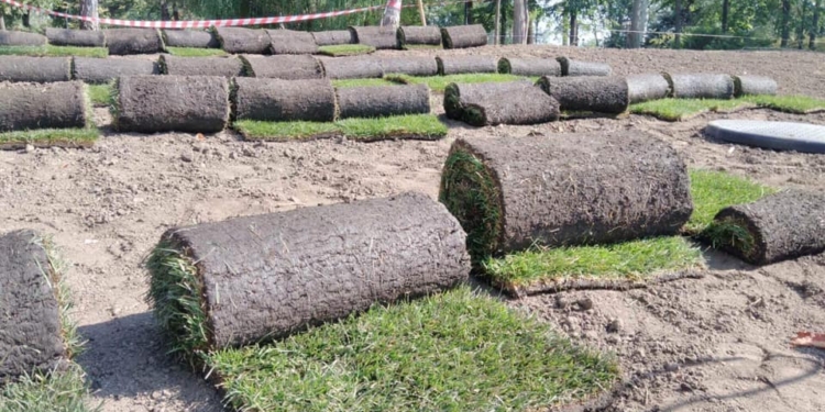 Зелено будет рядом с Соборной площадью – на Флотском бульваре стелют новый рулонный газон (ФОТО)