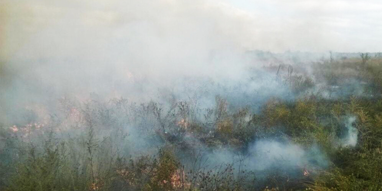 Шины, сухая трава, мусор и ВАЗ-2106 – что еще горело в Николаевской области за сутки (ФОТО)
