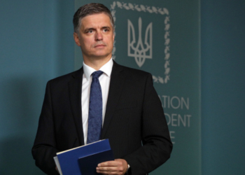 Формула Штайнмайера. Пристайко сказал, на что согласилась Украина
