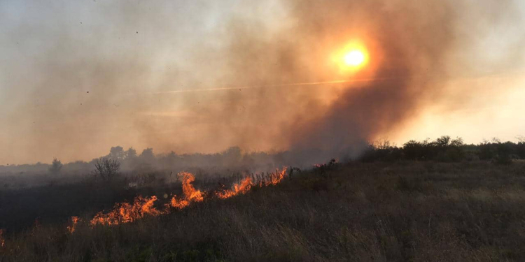 На Николаевщине за сутки выгорело свыше 20 га открытых территорий (ФОТО)
