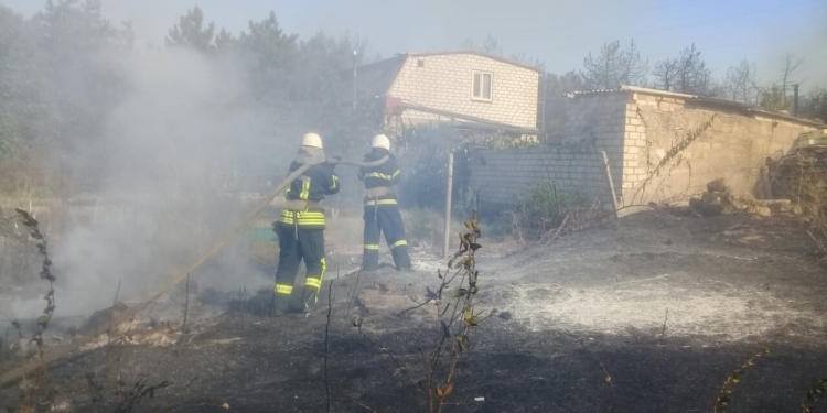 Горит сухая трава, лесопосадка и 4 дачных участка: под Николаевом тушат серьезный пожар (ФОТО)