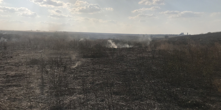 На Николаевщине спасатели тушили 15 пожаров на открытых территориях