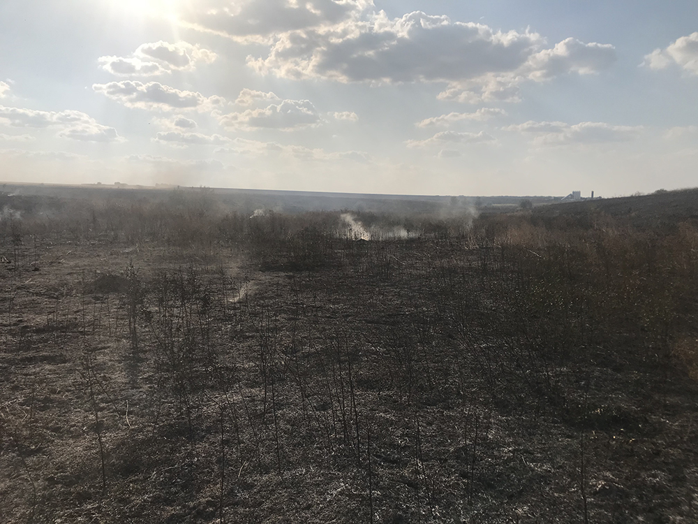 На Николаевщине спасатели тушили 15 пожаров на открытых территориях 1