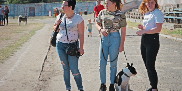 В Николаеве прошла международная выставка собак, приуроченная ко Дню города (ФОТО)