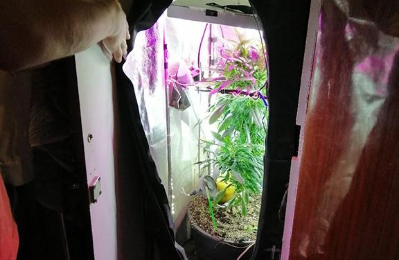 Житель Николаевской области выращивал коноплю в шкафу