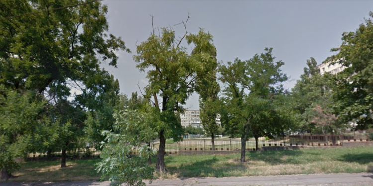 Секретарь горсовета Казакова хочет, чтоб чиновники за свой счет компенсировали убытки при ремонте стадиона школы №3