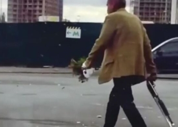 Романтика. В Киеве сняли мужчину с букетом цветов и помповым ружьем (ВИДЕО)