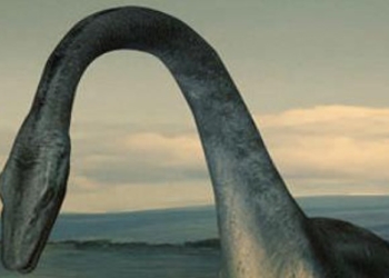 Лох-несское чудовище было, скорее всего, гигантским угрем, следует из анализа ДНК