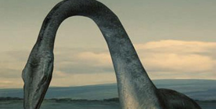 Лох-несское чудовище было, скорее всего, гигантским угрем, следует из анализа ДНК