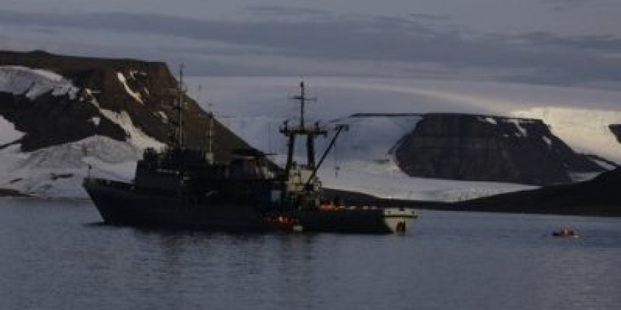 В Арктике животные потопили российскую военную лодку — СМИ 1