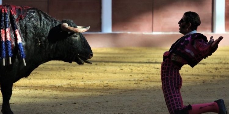В Испании полиции пришлось застрелить быка, который сбежал с арены и от которого пострадали три человека (ВИДЕО)
