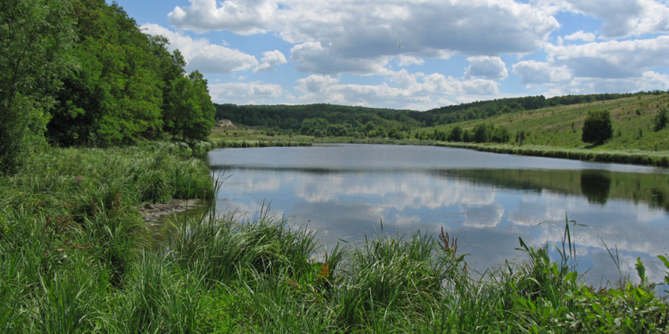 На Николаевщине объявили о создании пяти ландшафтных заказников местного значения общей площадью около 1,5 тыс га