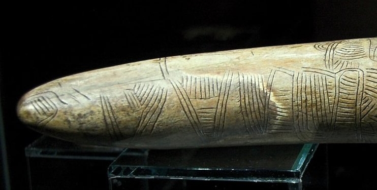 В Чехии на 10 дней на всеобщее обозрение выставли самую древнюю топографическую карту – на бивне мамонта (ФОТО)