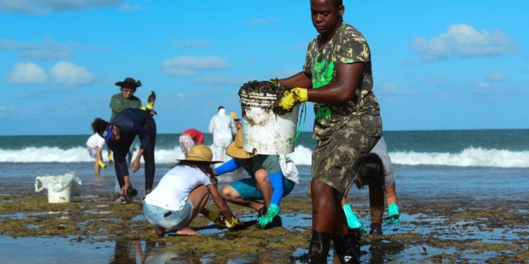 Очищать пляжи на северо-востоке Бразилии от нефти вышли тысячи людей (ФОТО)
