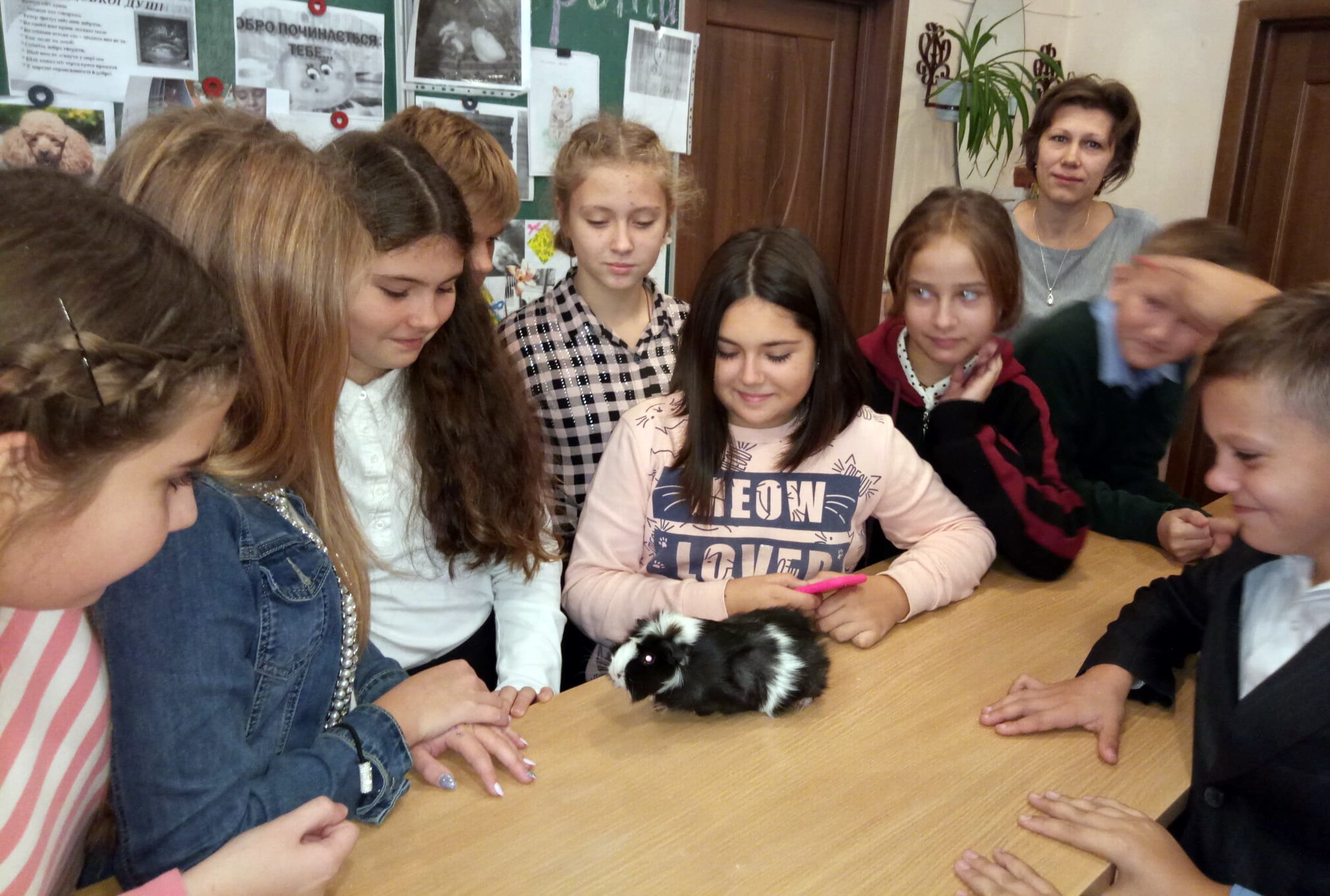 В одну из школ Николаева дети пришли на уроки с кошками и морскими свинками (ФОТО)