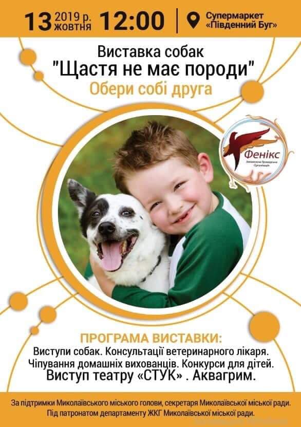 «Щастя не має породи»: в Николаеве зовут на выставку беспородных собак, где можно найти себе четвероногого друга 1