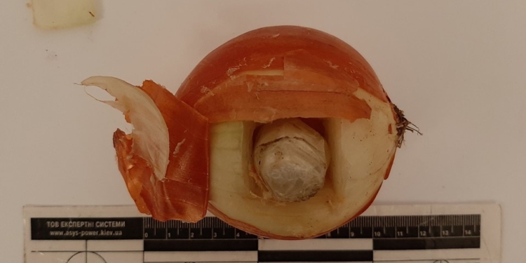 А ведь кто-то старался: в Николаевский СИЗО пытались передать наркотики в… луковице (ФОТО)