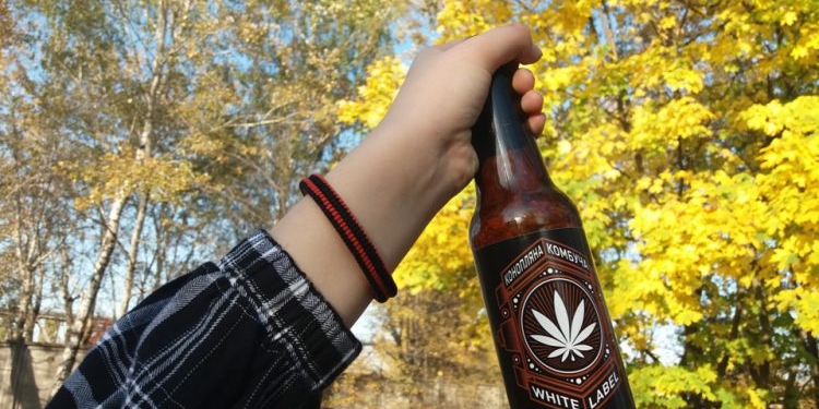 В Украине в продаже скоро   появится грибной напиток с коноплей