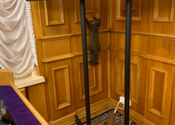 «Песец был бы уместнее»: в Раде обнаружили куницу