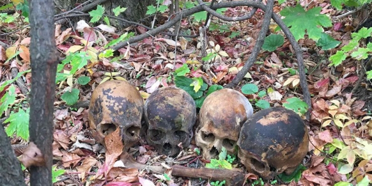 Черепа по Николаеву разносил отвергнутый влюбленный (ФОТО, ВИДЕО)