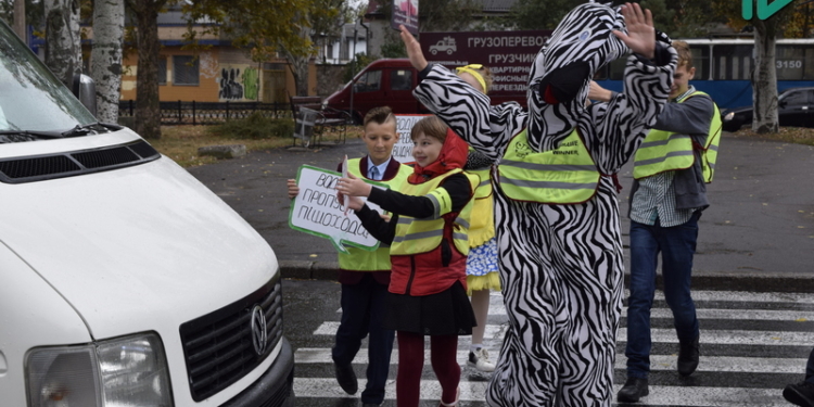 В Николаеве по пешеходному переходу ходила зебра (ФОТО, ВИДЕО)