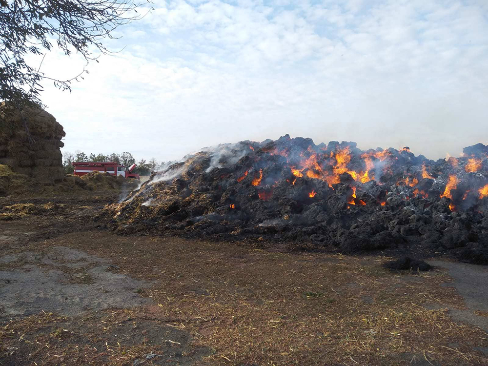 На Николаевщине спасатели за сутки потушили 4 пожара (ФОТО) 3