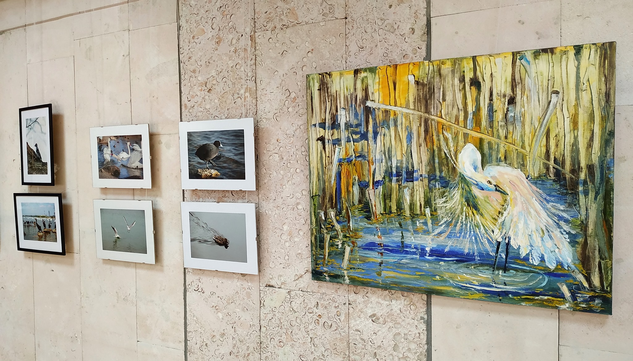 Миколаївців кличуть на відкриття арт-проєкту «Пташина елегія»