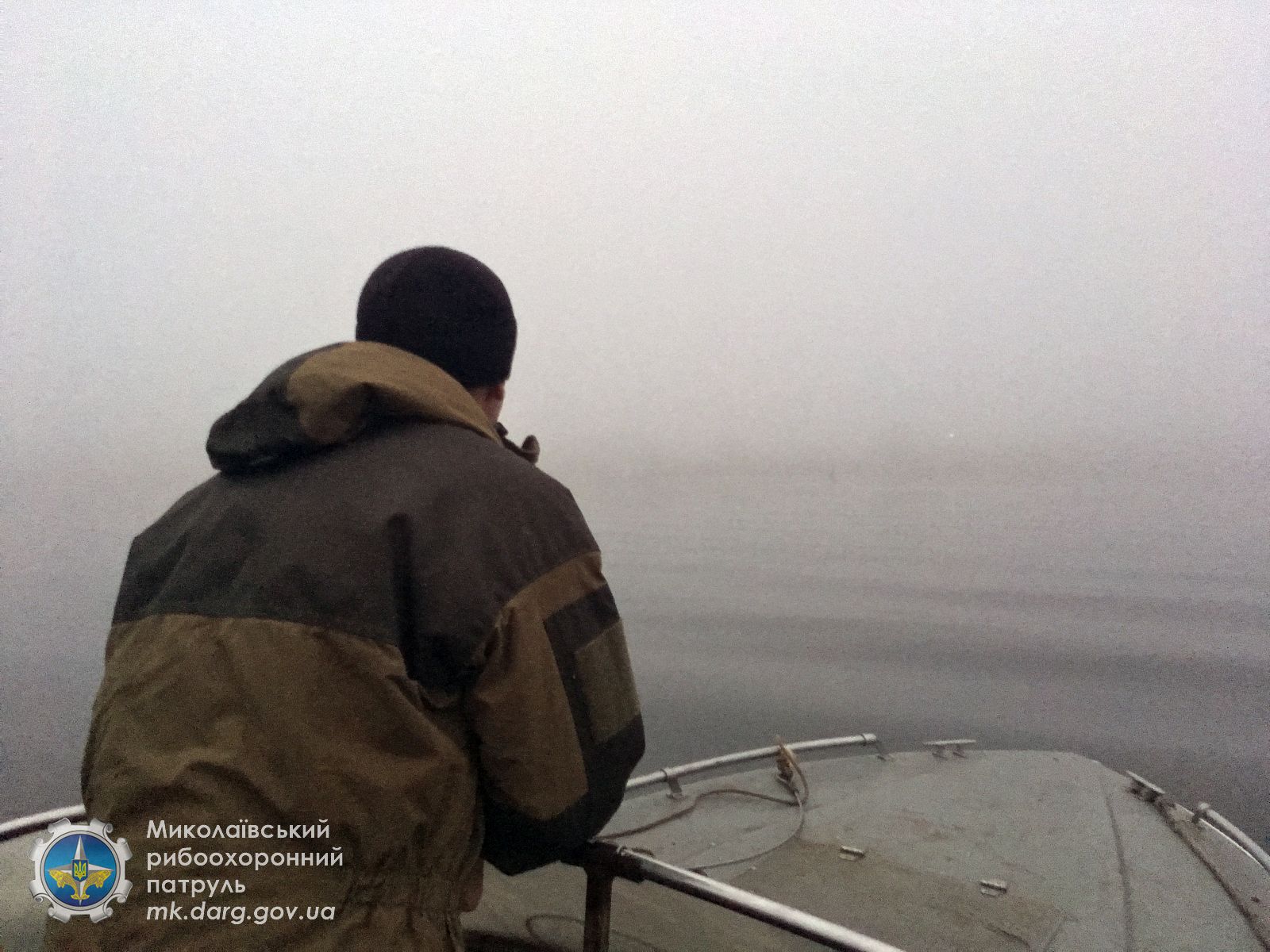 На Николаевщине ищут дельфина, который заплыл в акваторию Южного Буга (ФОТО)