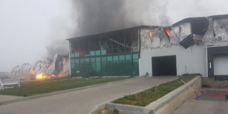 На Одесчине сгорел крупнейший чесночный завод Украины