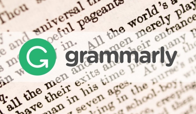 Для проверки английской грамматики. Украинский стартап оценили в $1 млрд.