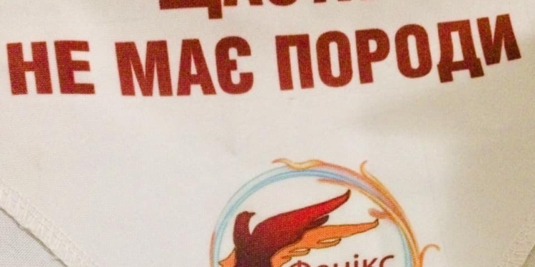 Выставка беспородных собак в Николаеве: семеро нашли свой дом! (ФОТО)