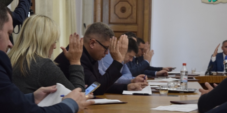 Исполком разрешил сыну Чайки установить два рекламных борда возле зоопарка