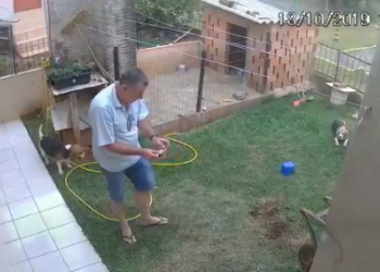 Бразилец взорвал двор, пытаясь уничтожить полчища тараканов (ВИДЕО)