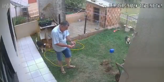 Бразилец взорвал двор, пытаясь уничтожить полчища тараканов (ВИДЕО) 1