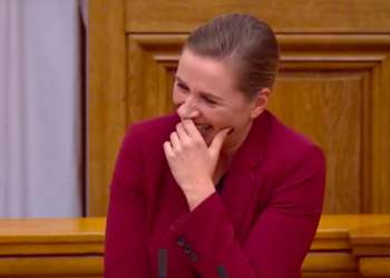 Датский премьер с трудом закончила доклад парламенту из-за хохота. Речь шла о слонихе и ее друге верблюде Али (ВИДЕО)