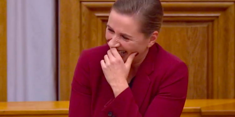 Датский премьер с трудом закончила доклад парламенту из-за хохота. Речь шла о слонихе и ее друге верблюде Али (ВИДЕО)