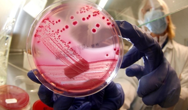 Швейцарские ученые нашли новый класс синтетических антибиотиков