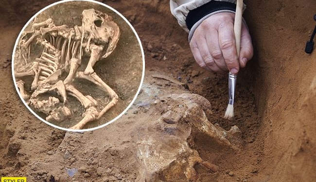 Сенсационная находка в древнем захоронении под Полтавой (ВИДЕО)