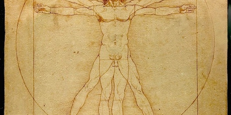 В Италии изготовят из нуги 2-метрового «Витрувианского человека» Леонардо да Винчи