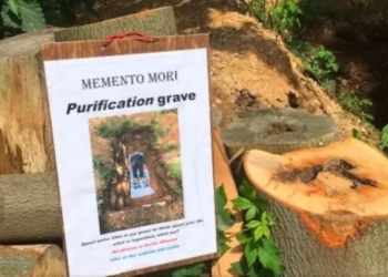 В Нидерландах студентам предлагают в могиле «подумать о смерти»