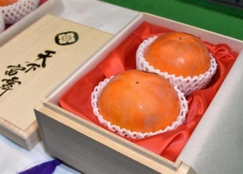 В Японии две хурмы элитного сорта продали за $5 тысяч