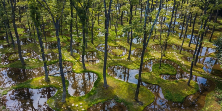 Японский “водный сад” получил одну из самых престижных архитектурных премий (ФОТО)