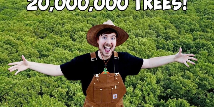 Маск пожертвовал деньги на миллион деревьев (ВИДЕО)