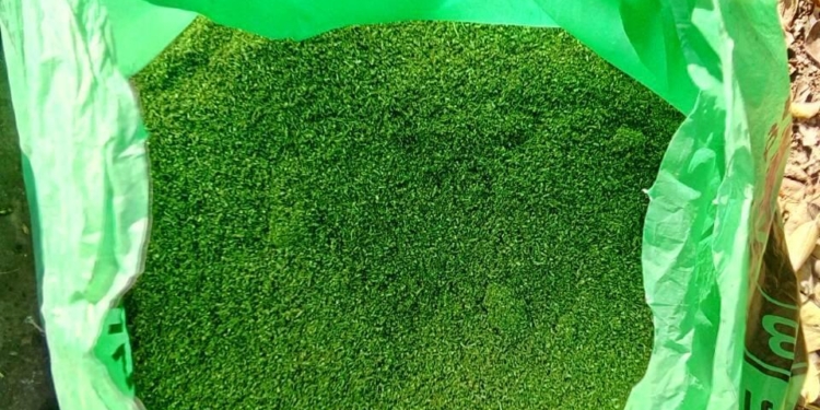 В Новобугском районе полиция изъяла у 53-летнего мужчины 6 кг каннабиса (ФОТО)